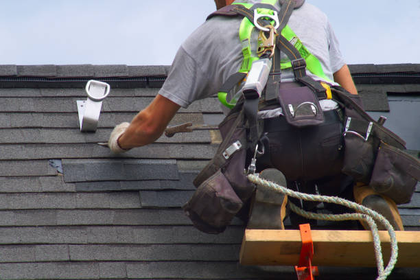 Best Chimney Flashing Repair  in Loving, NM