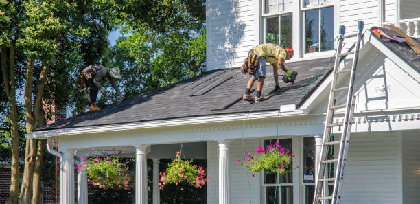 Roof Moss and Algae Removal in Loving, NM